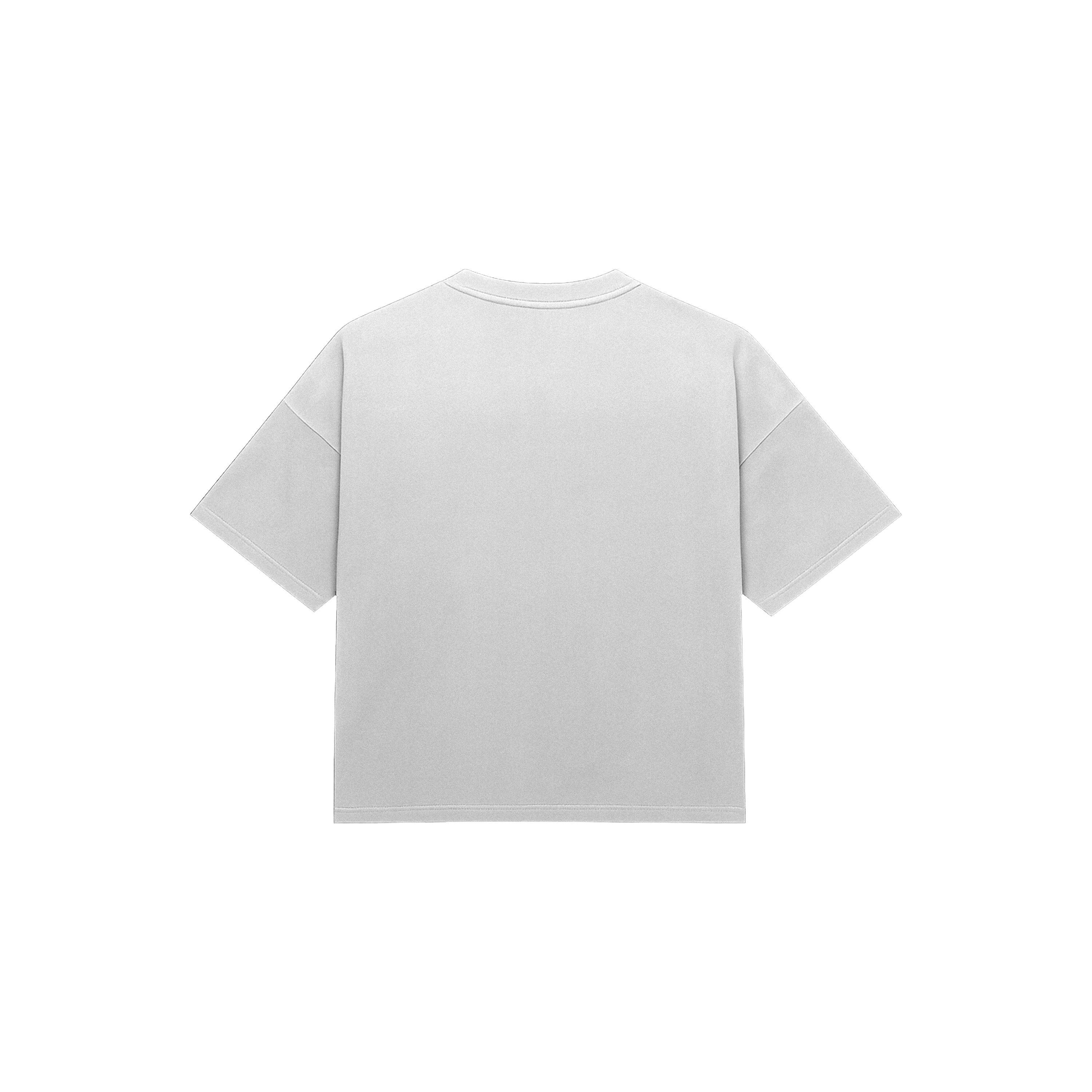 basic short sleeve oversized t-shirt