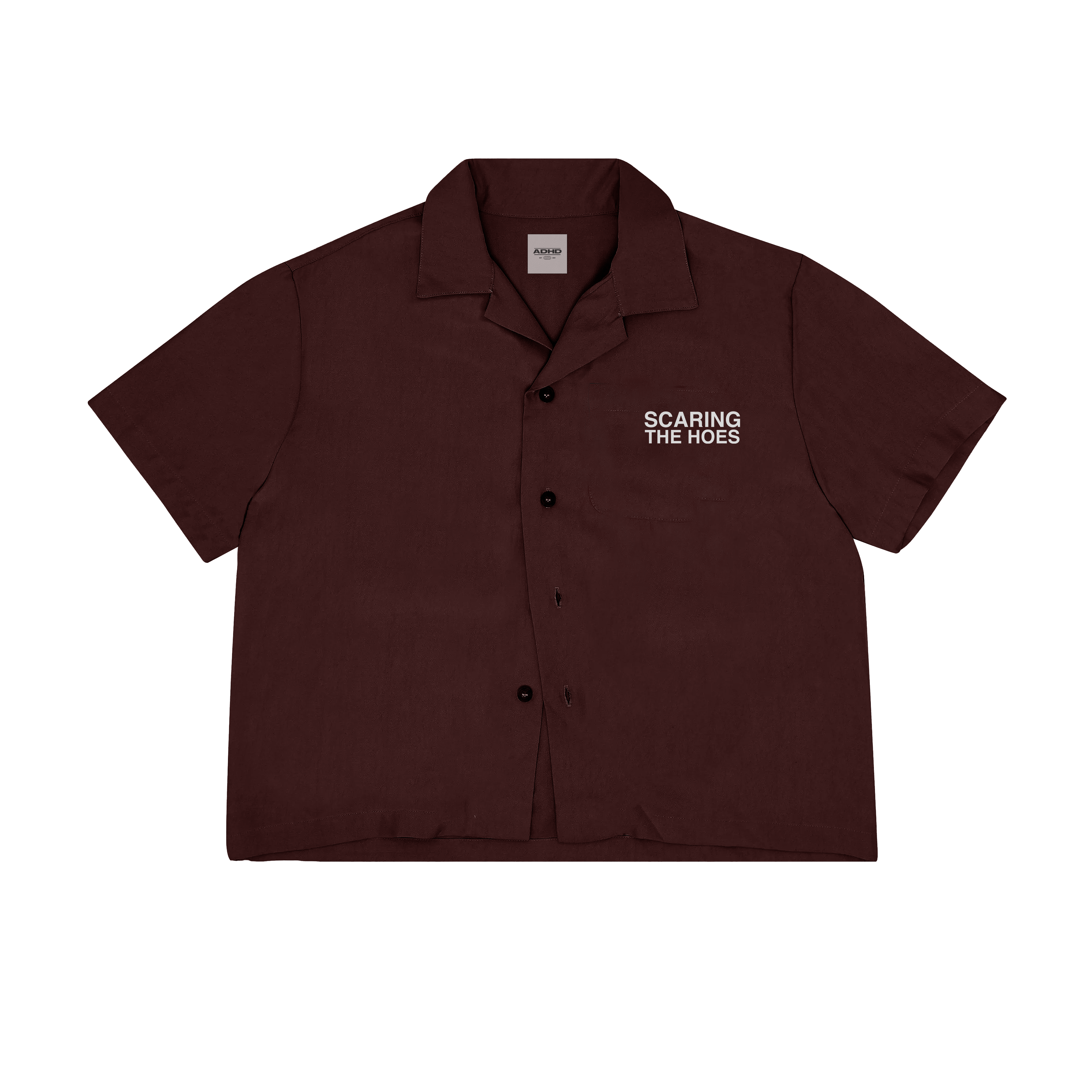 scaring the hoes heavyweight oversized shirt