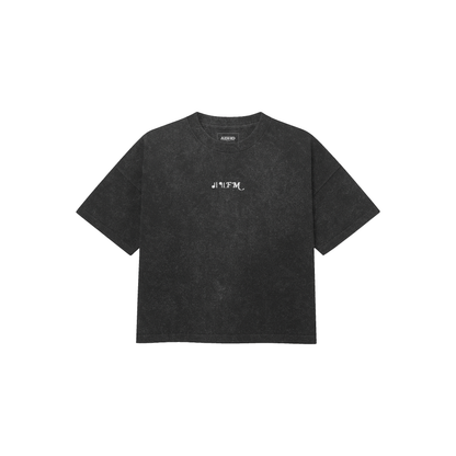 dl91 fm washed v4 oversized tee