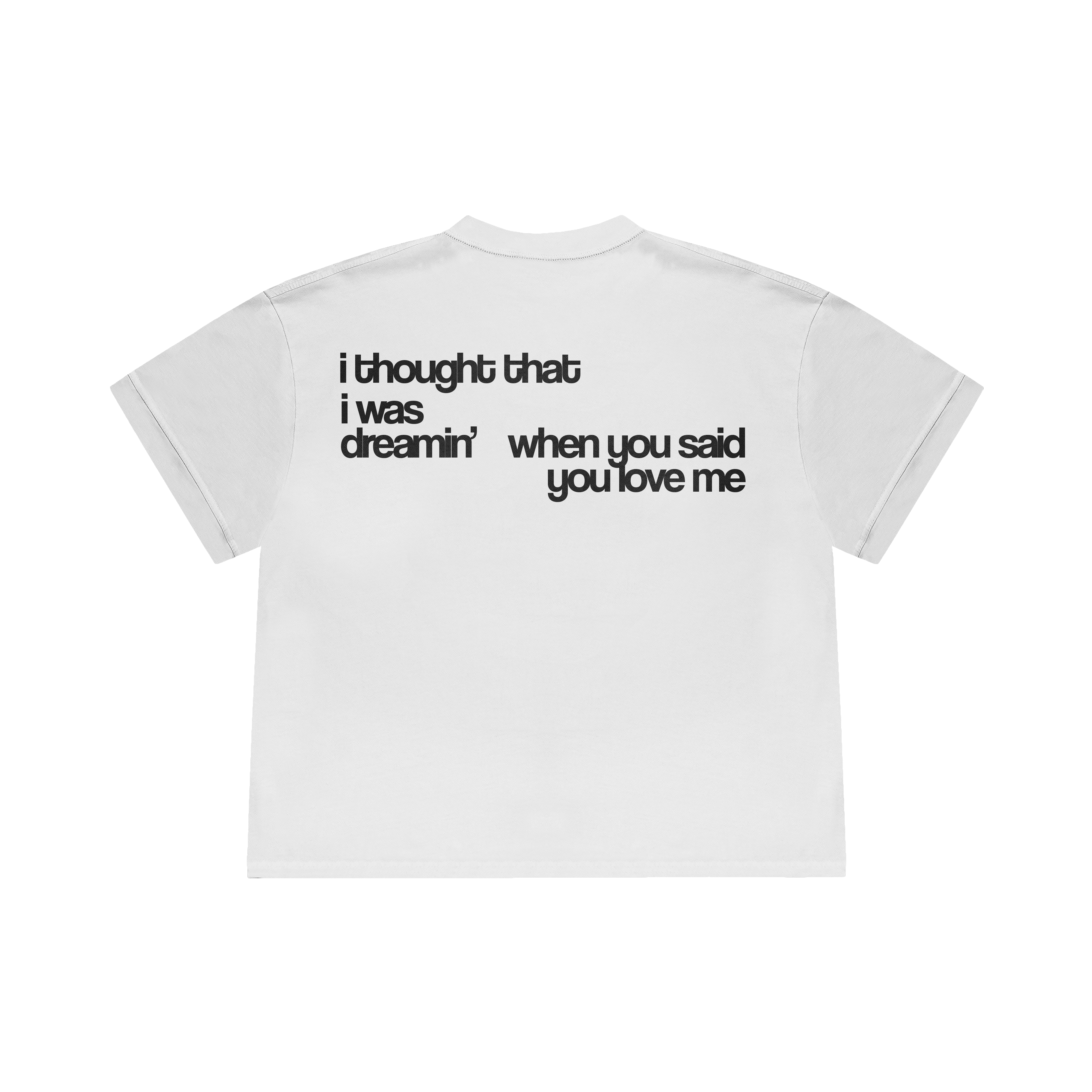 ivy frank ocean oversized t-shirt