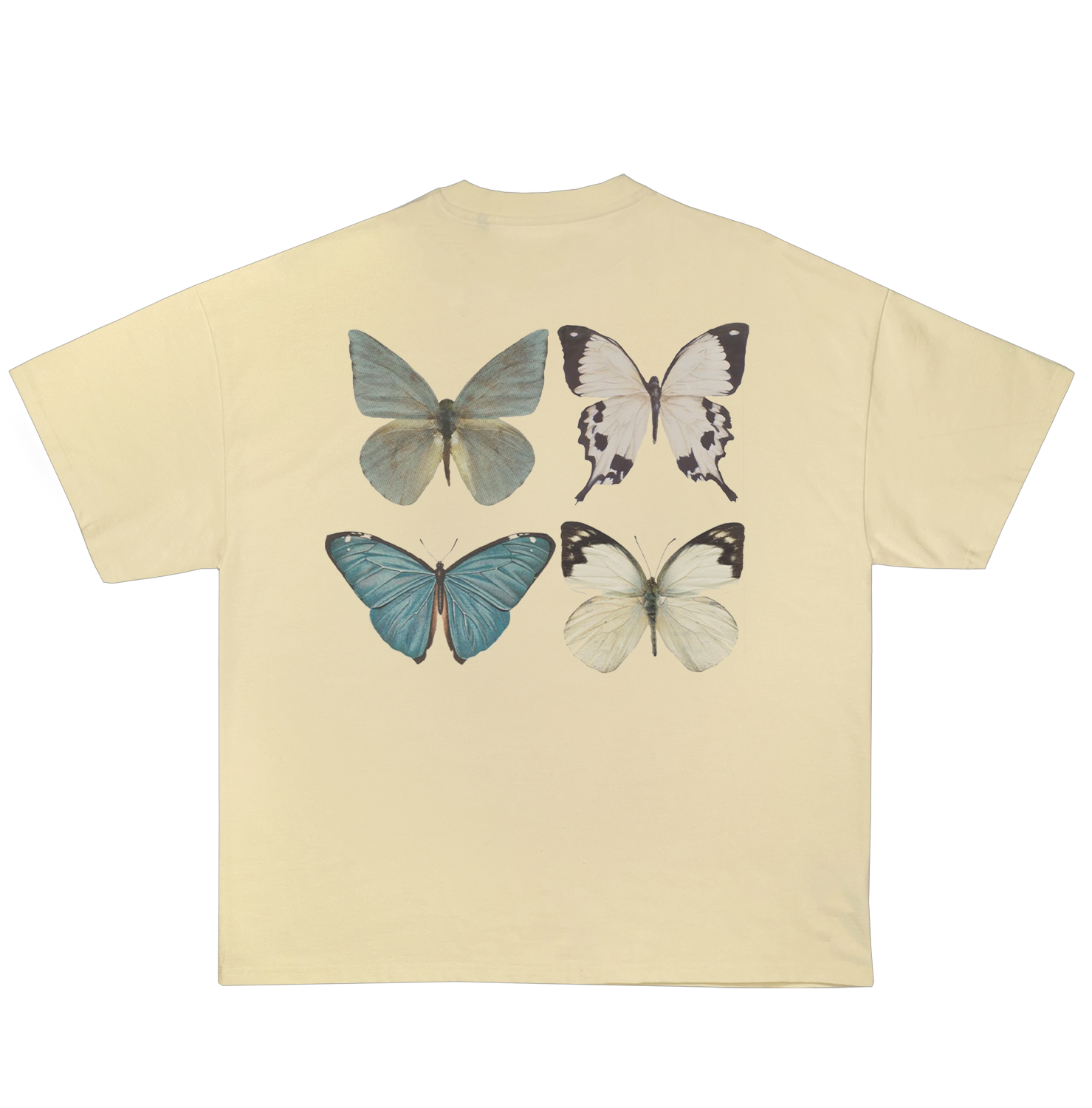 clairo immunity oversized t-shirt