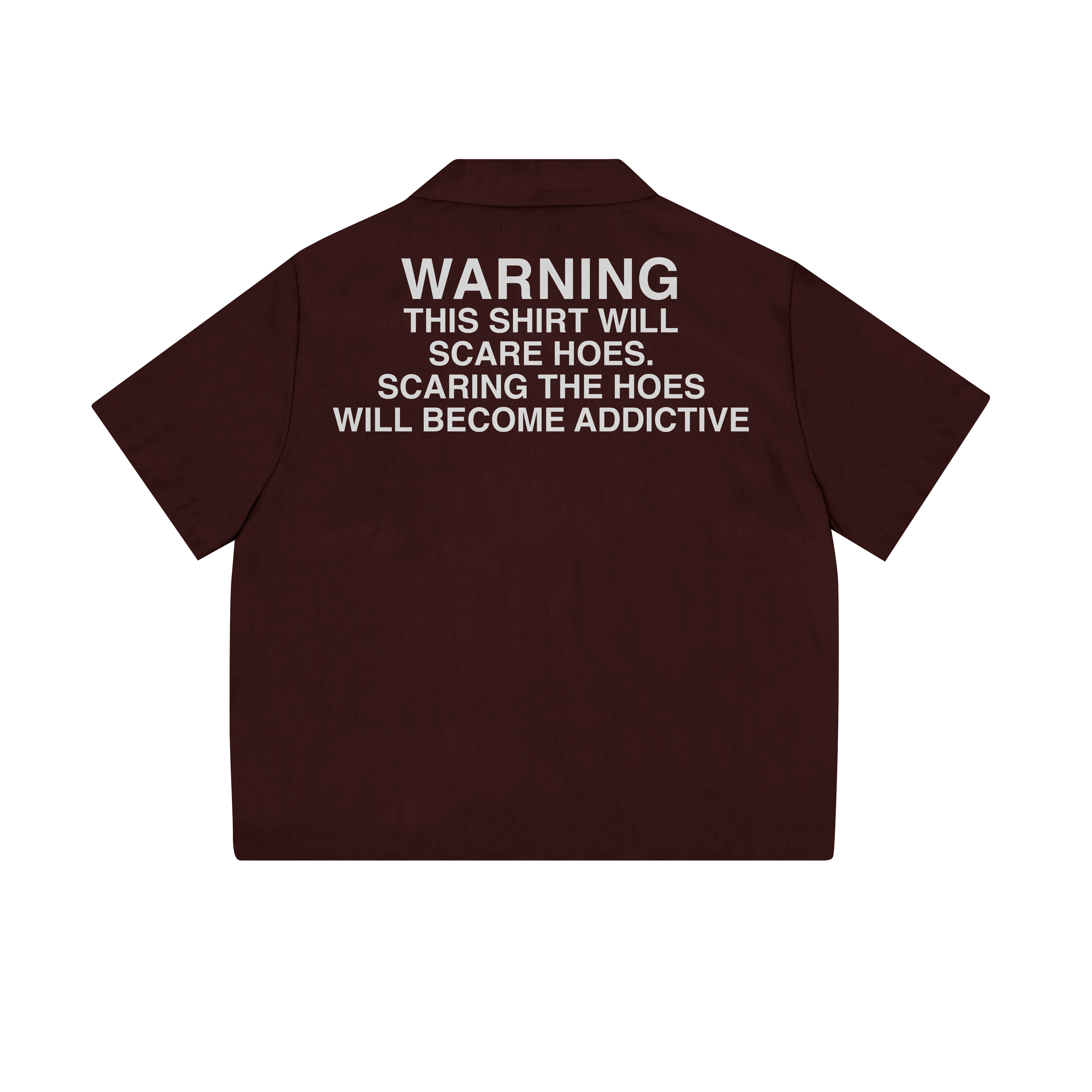 scaring the hoes heavyweight oversized shirt