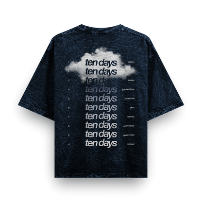 ten days washed v3 oversized tee