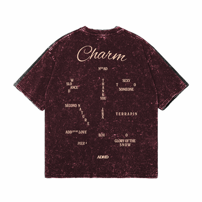 charm washed v3 oversized tee