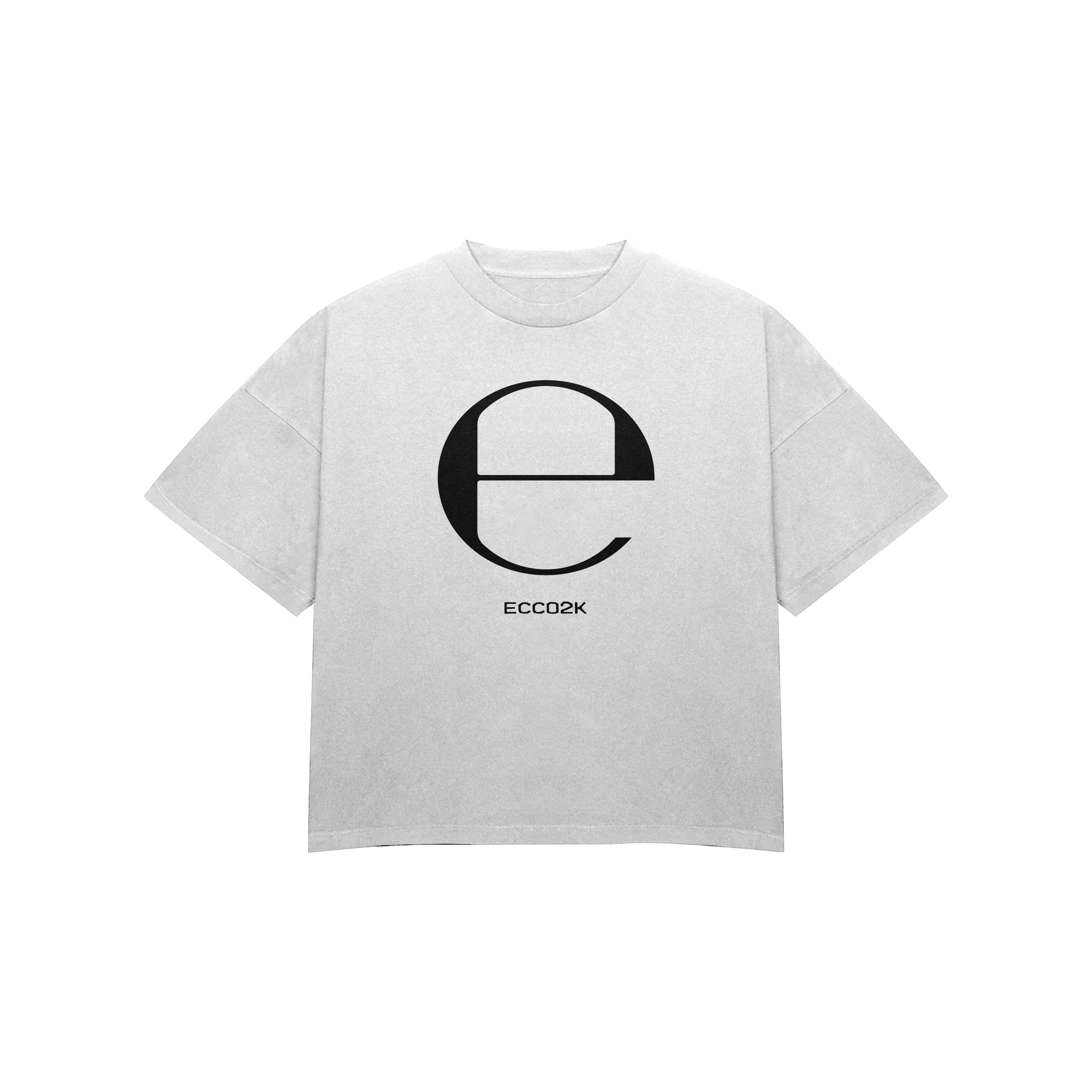 ecco2k oversized heavyweight t-shirt
