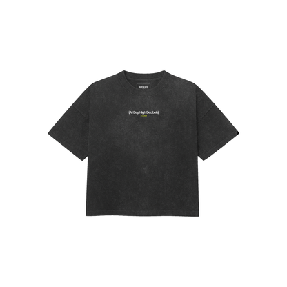 direction washed v4 oversized tee
